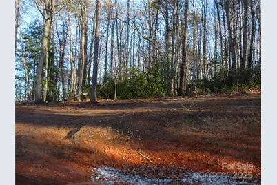 000 Levi Road, Columbus, NC 28722 - Photo 18