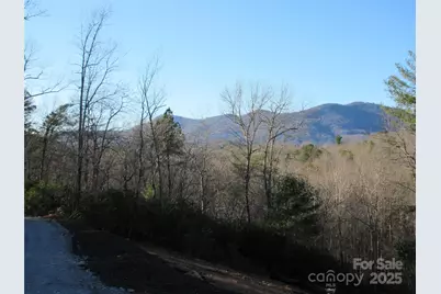 000 Levi Road, Columbus, NC 28722 - Photo 28