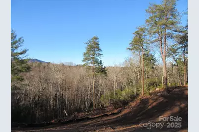 000 Levi Road, Columbus, NC 28722 - Photo 42