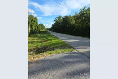 2939 Landfill Road, Mount Croghan, SC 29727 - Photo 10