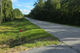 2939 Landfill Rd, Mount Croghan, SC 29727 - Photo 10