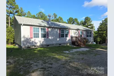 2939 Landfill Road, Mount Croghan, SC 29727 - Photo 2