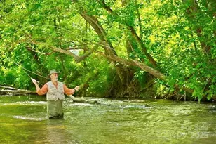 Cottage Home C6 River Club Ridge, Lenoir, NC 28645 - Photo 30