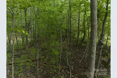 0 W Mills Street, Columbus, NC 28722 - Photo 24