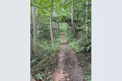 Lot 26 Zinzendorf Lane #26, Moravian Falls, NC 28654 - Photo 12