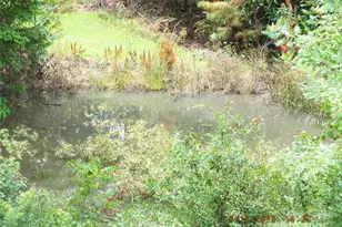 5034 Green Rd, Heath Springs, SC 29058 - Photo 42