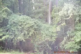 5034 Green Rd, Heath Springs, SC 29058 - Photo 32