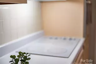 102 Boyd Dr, Flat Rock, NC 28731 - Photo 20