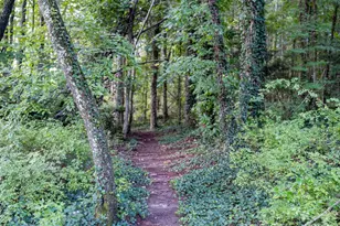 102 Boyd Dr, Flat Rock, NC 28731 - Photo 26