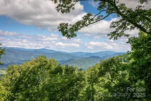 Lot 20 Heritage Ridge Rd, Burnsville, NC 28714 - Photo 4