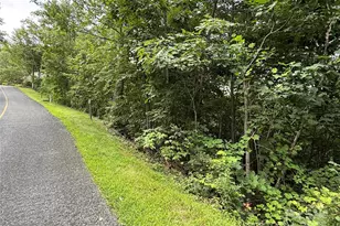 Lot 20 Heritage Ridge Rd, Burnsville, NC 28714 - Photo 10