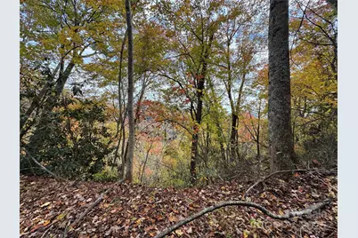 Tbd Globe Road, Lenoir, NC 28645 - Photo 28