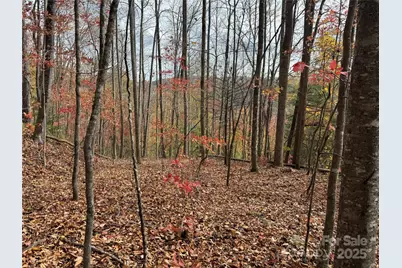 Tbd Globe Road, Lenoir, NC 28645 - Photo 2