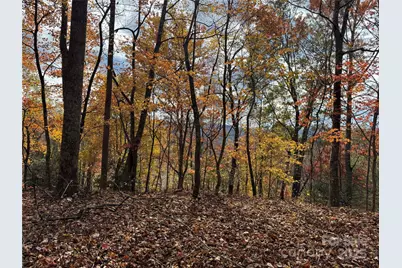 Tbd Globe Road, Lenoir, NC 28645 - Photo 18