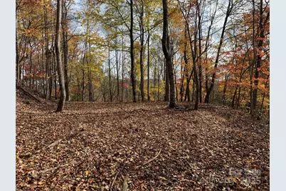 Tbd Globe Road, Lenoir, NC 28645 - Photo 4
