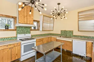 117 Old Dairy Dr, Leicester, NC 28748 - Photo 4