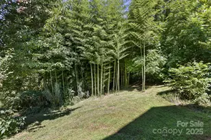 117 Old Dairy Dr, Leicester, NC 28748 - Photo 36