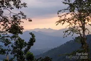 17 Elk Trail, Asheville, NC 28804 - Photo 48