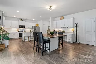 919 Rock Haven Dr, Charlotte, NC 28216 - Photo 10