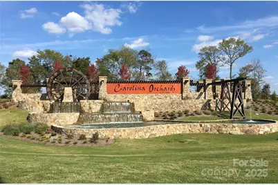 689 Birchway Drive, Fort Mill, SC 29715 - Photo 38