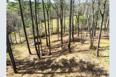 140 Hangin Dog Lane, Lake Toxaway, NC 28747 - Photo 44