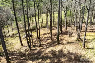 140 Hangin Dog Ln, Lake Toxaway, NC 28747 - Photo 44