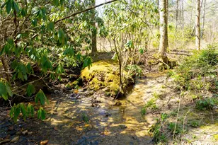 140 Hangin Dog Ln, Lake Toxaway, NC 28747 - Photo 6