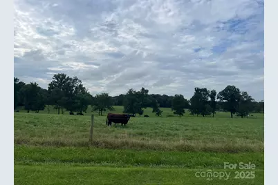 00 Thanny Helms Road, Peachland, NC 28133 - Photo 6