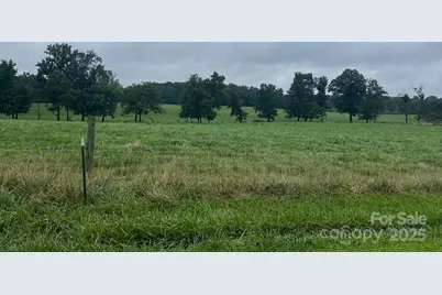 00 Thanny Helms Road, Peachland, NC 28133 - Photo 2