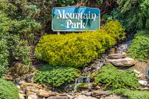 249 Serenity Mountain Ln, Mars Hill, NC 28754 - Photo 48