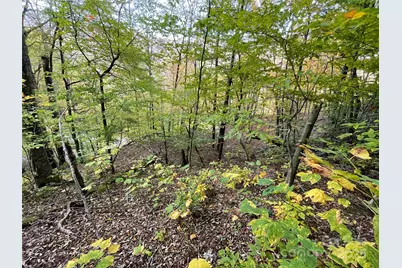 96 Chestnut Lane #96, Mars Hill, NC 28754 - Photo 4