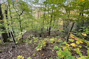 96 Chestnut Ln, Mars Hill, NC 28754 - Photo 4