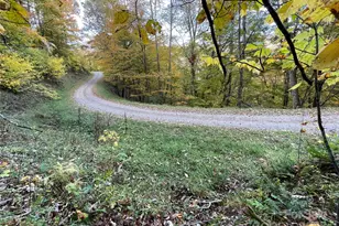 96 Chestnut Ln, Mars Hill, NC 28754 - Photo 2