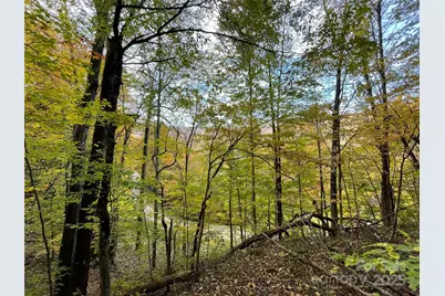 96 Chestnut Lane #96, Mars Hill, NC 28754 - Photo 8