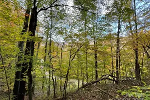 96 Chestnut Ln, Mars Hill, NC 28754 - Photo 8