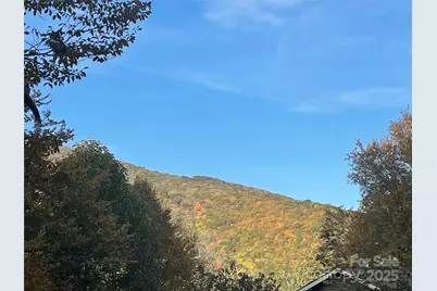 96 Chestnut Lane #96, Mars Hill, NC 28754 - Photo 1