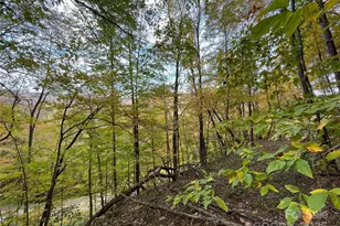 96 Chestnut Ln, Mars Hill, NC 28754 - Photo 12