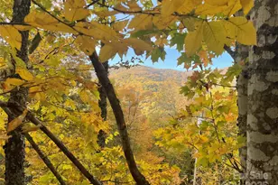 96 Chestnut Ln, Mars Hill, NC 28754 - Photo 10