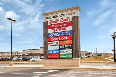 911 Lily Magnolia Court, Fort Mill, SC 29707 - Photo 48