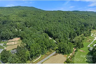 35 Dupont Estates Drive, Hendersonville, NC 28739 - Photo 42