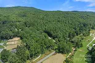 35 Dupont Estates Dr, Hendersonville, NC 28739 - Photo 42