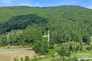 35 Dupont Estates Dr, Hendersonville, NC 28739 - Photo 44