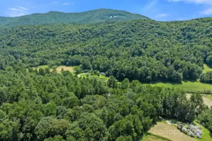 35 Dupont Estates Dr, Hendersonville, NC 28739 - Photo 40