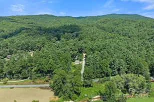 35 Dupont Estates Dr, Hendersonville, NC 28739 - Photo 36