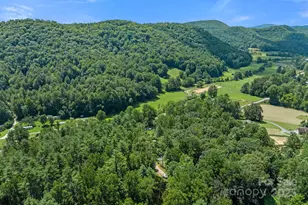 35 Dupont Estates Dr, Hendersonville, NC 28739 - Photo 38