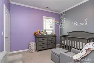 9332 Miami Blf Dr, Huntersville, NC 28078 - Photo 26