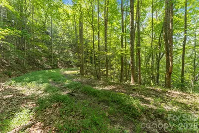 80 Breezewood Drive, Bryson City, NC 28713 - Photo 36