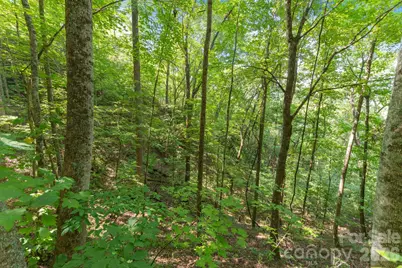 80 Breezewood Drive, Bryson City, NC 28713 - Photo 38