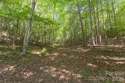 80 Breezewood Drive, Bryson City, NC 28713 - Photo 8