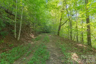 80 Breezewood Drive, Bryson City, NC 28713 - Photo 6